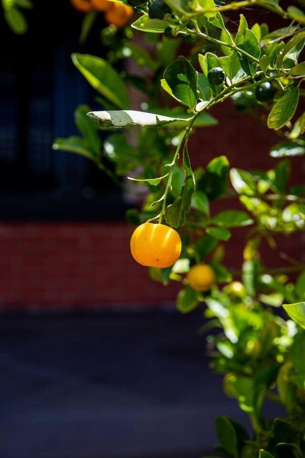 Holiday home Stunning High End Terrace In The Heart Of Bendigo