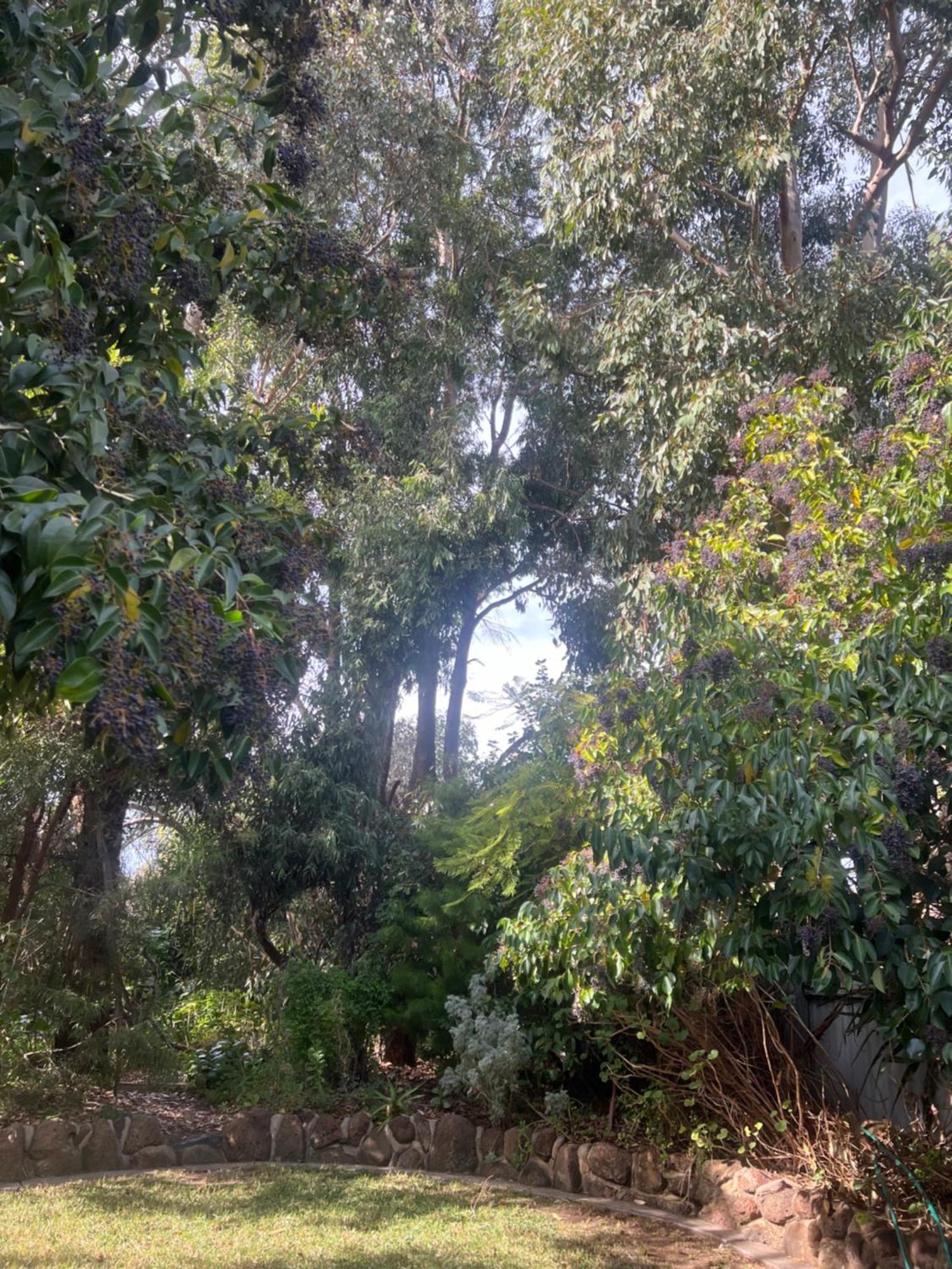 Bird Paradise & Mini Farm Bendigo