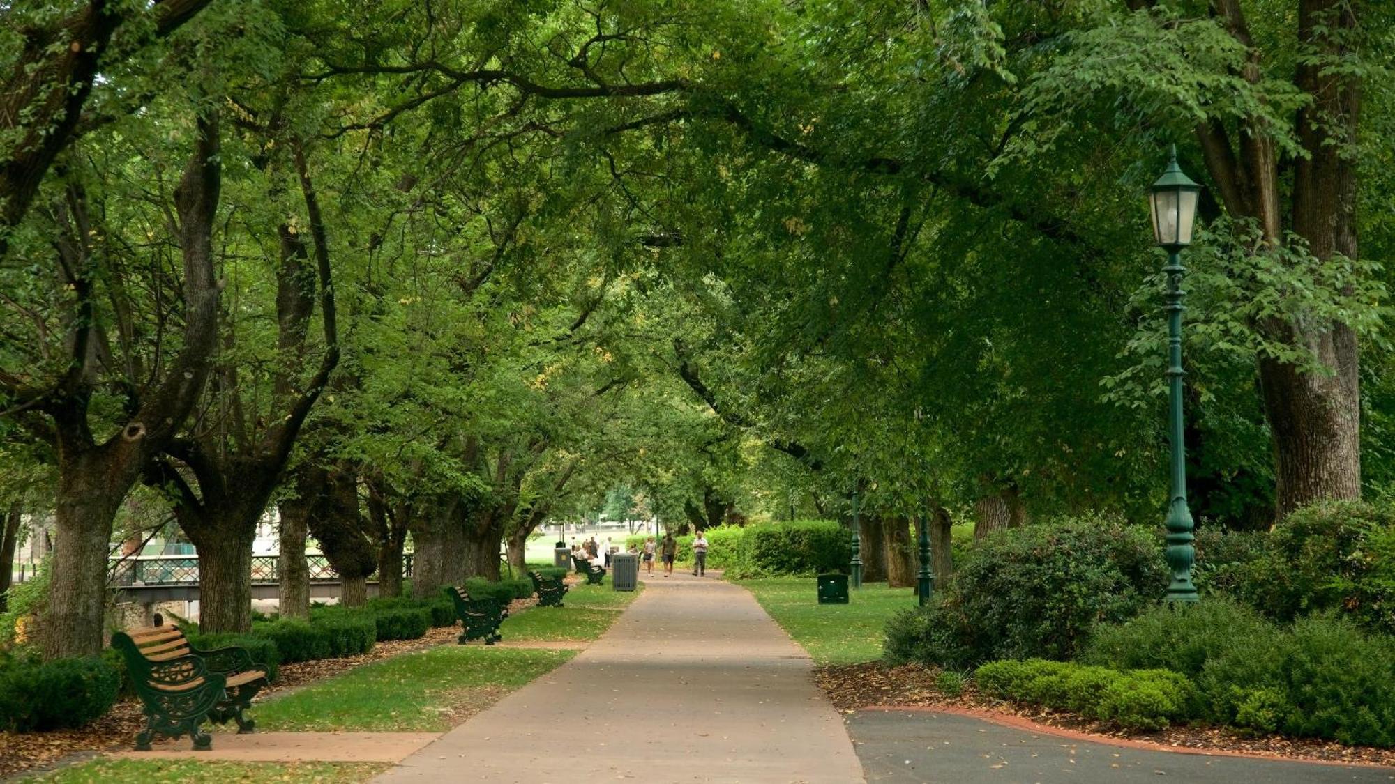 Bayne St * Bendigo