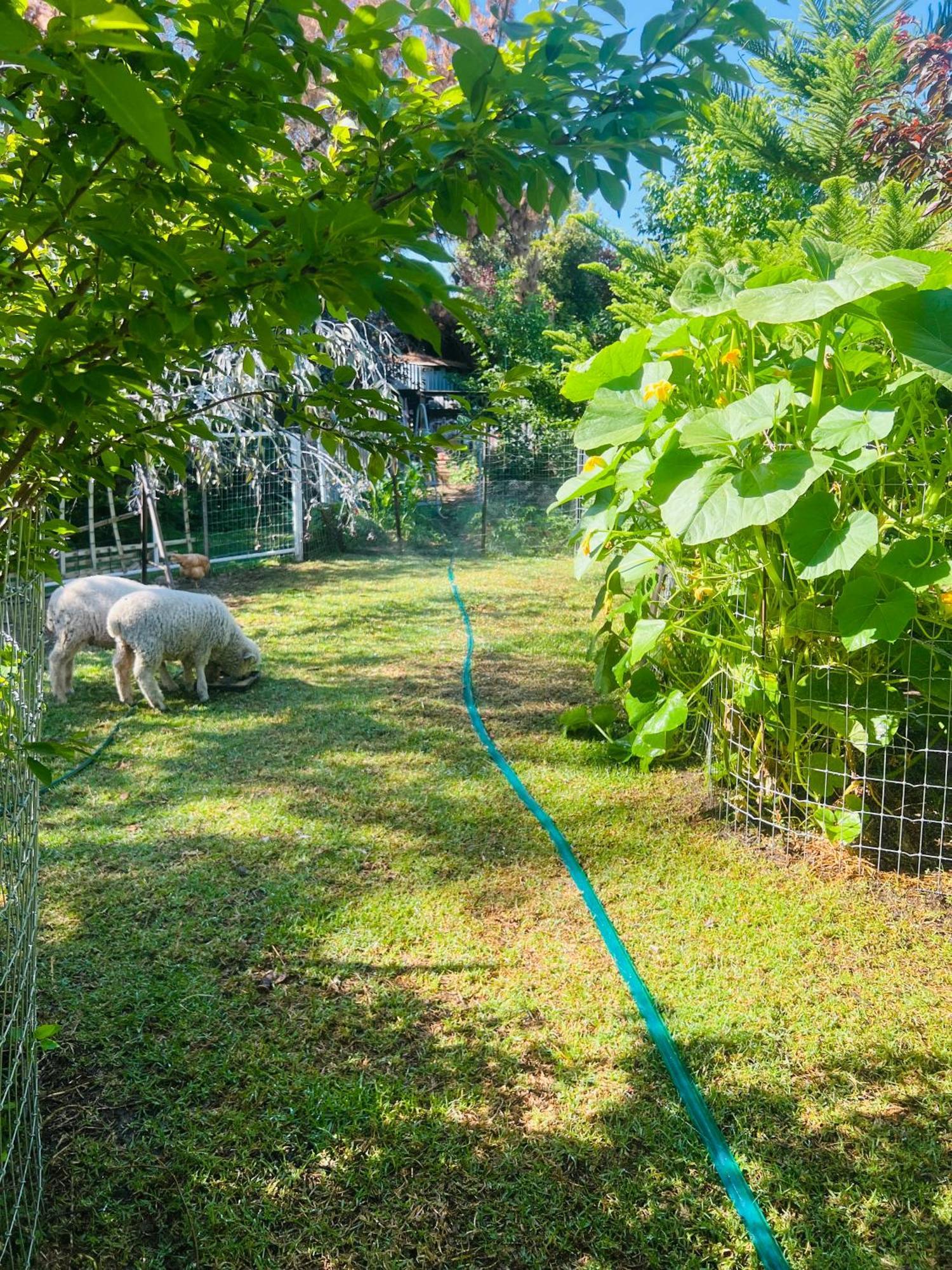 Bird Paradise & Mini Farm Bendigo