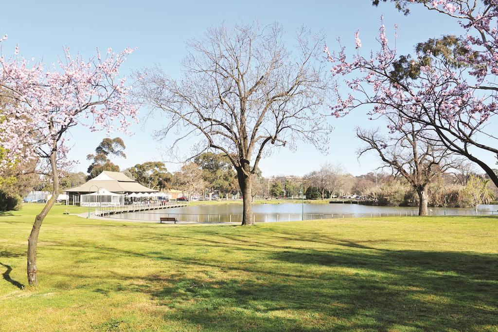 Motel Tea House Motor Bendigo