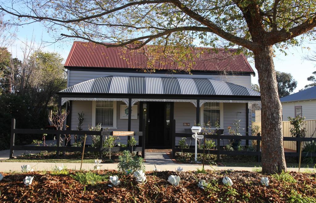 Social Guest house 4*
