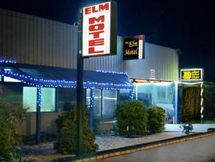 Elm 3*