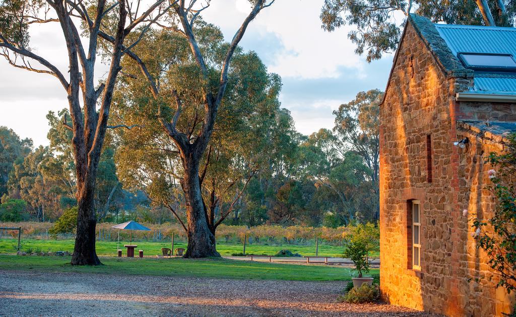 Apartment Byronsvale Vineyard And *