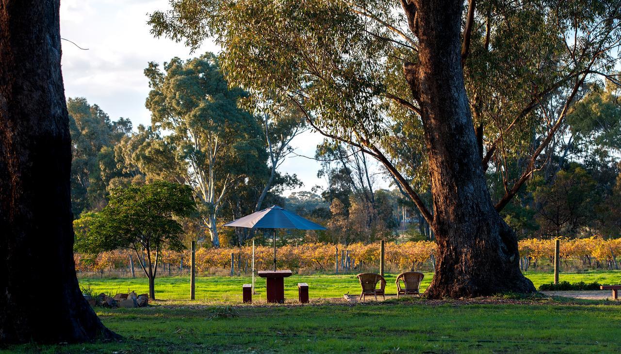 Byronsvale Vineyard And Apartment