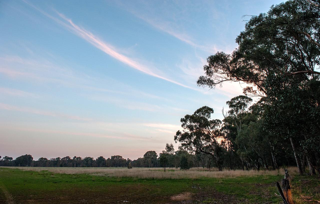 Apartment Byronsvale Vineyard And