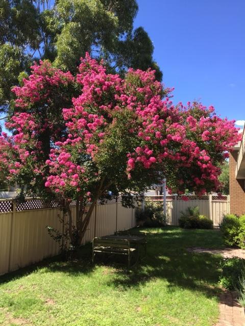 Eaglehawk Motel 3*