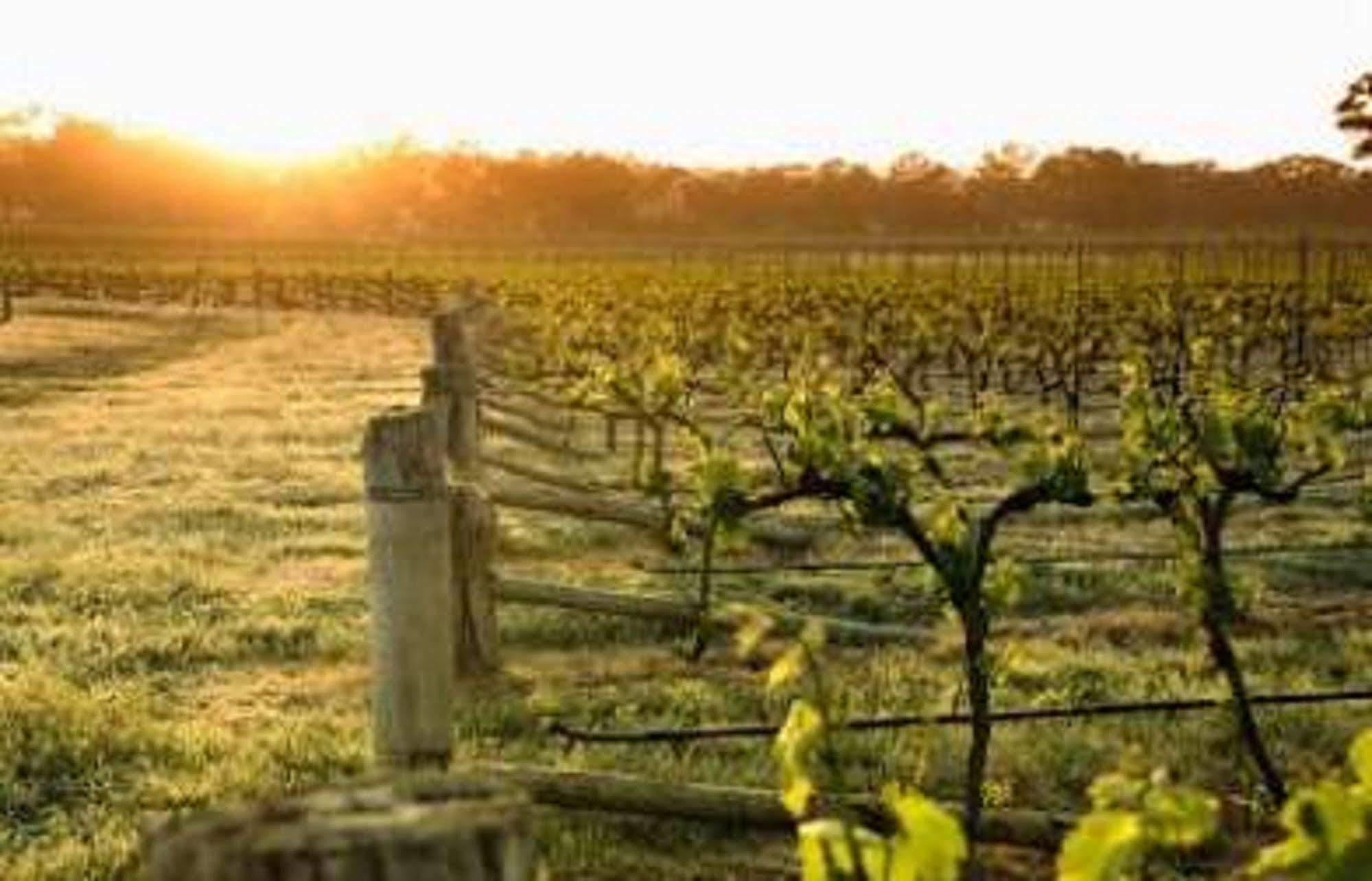 Bed & Breakfast Balgownie Estate Bendigo
