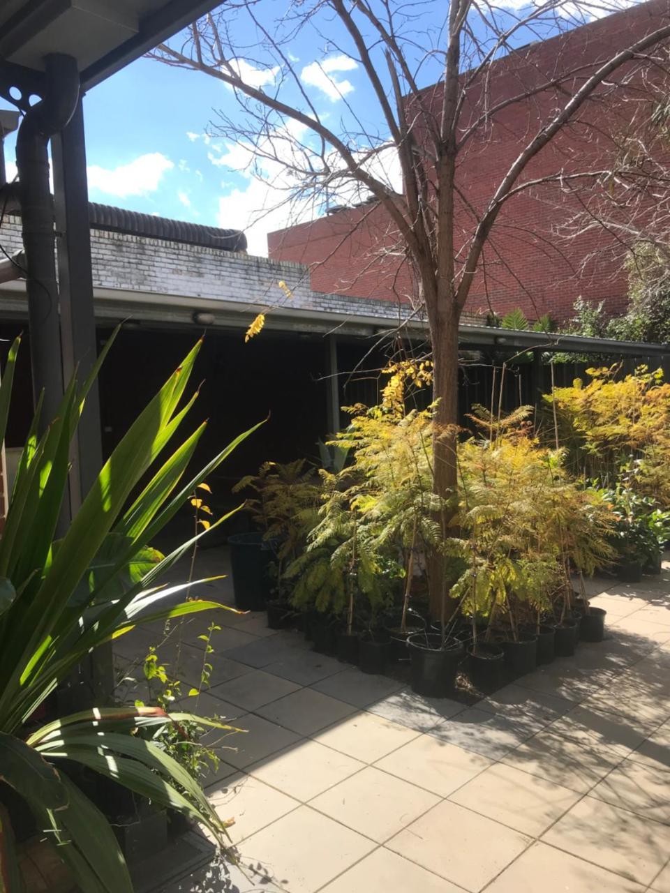 Crown Cbd - Location Motel Bendigo