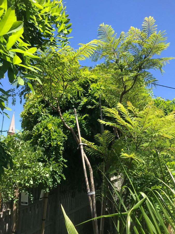 Crown Cbd - Location Motel Bendigo