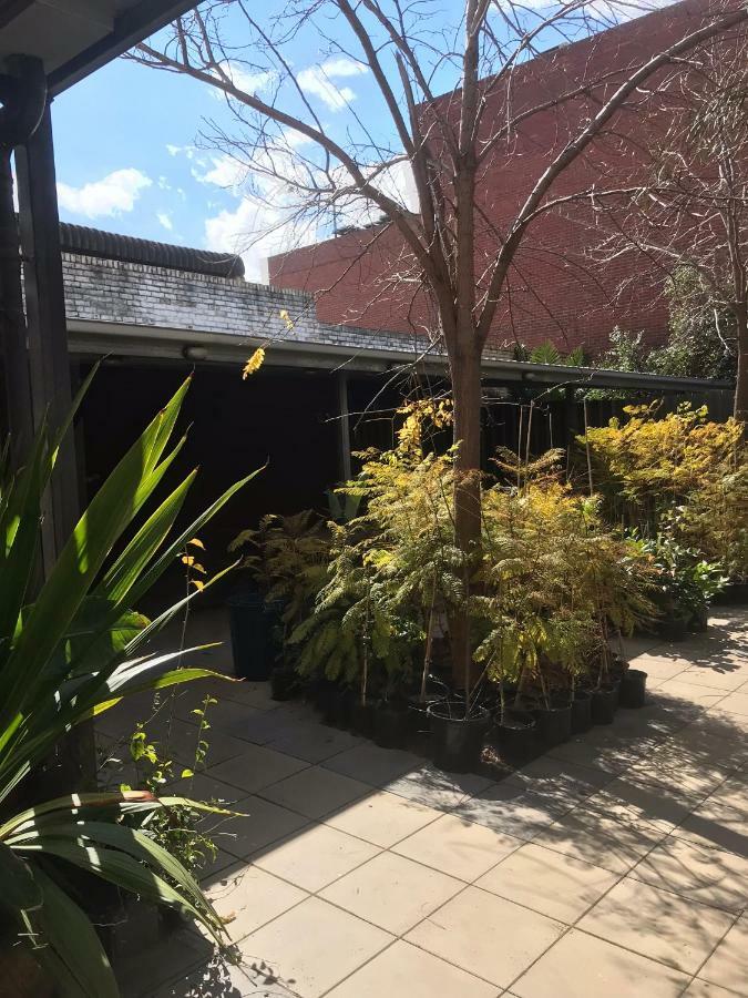 Crown Cbd - Location 2*