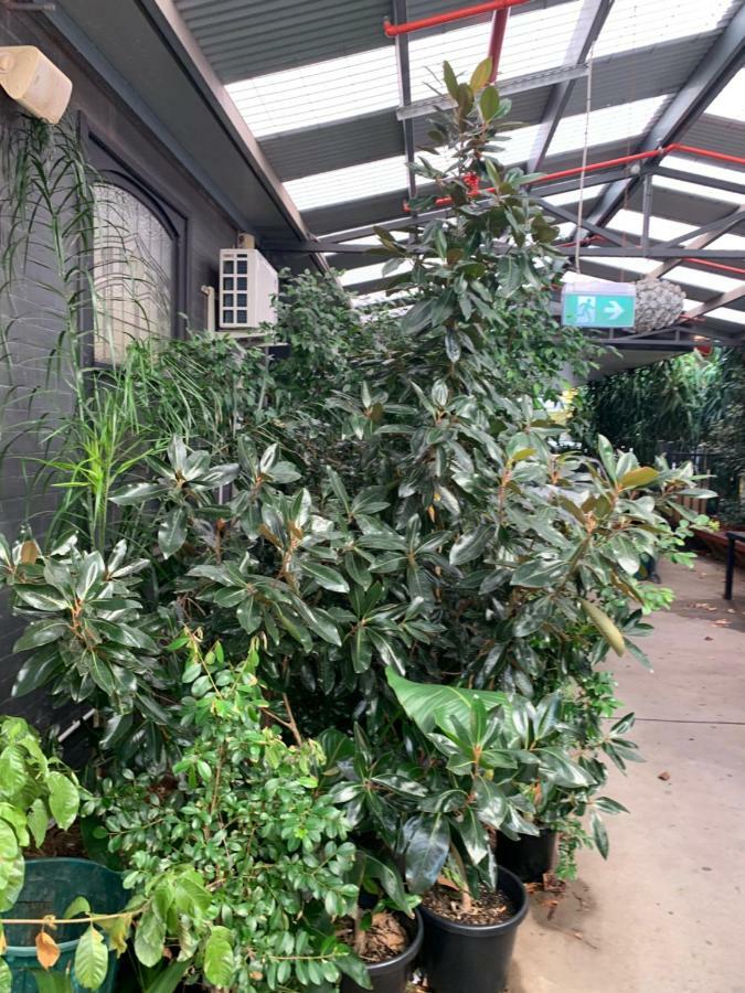 Crown Cbd - Location Bendigo