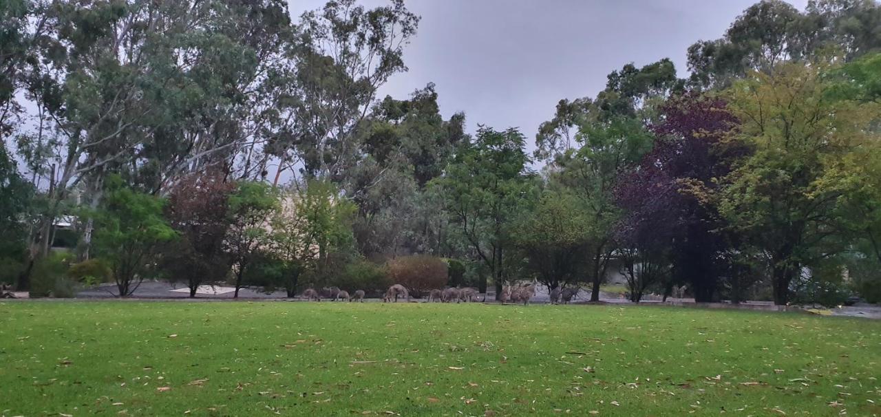 A-line 3* Bendigo