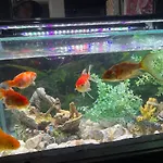 Unique Cbd Home