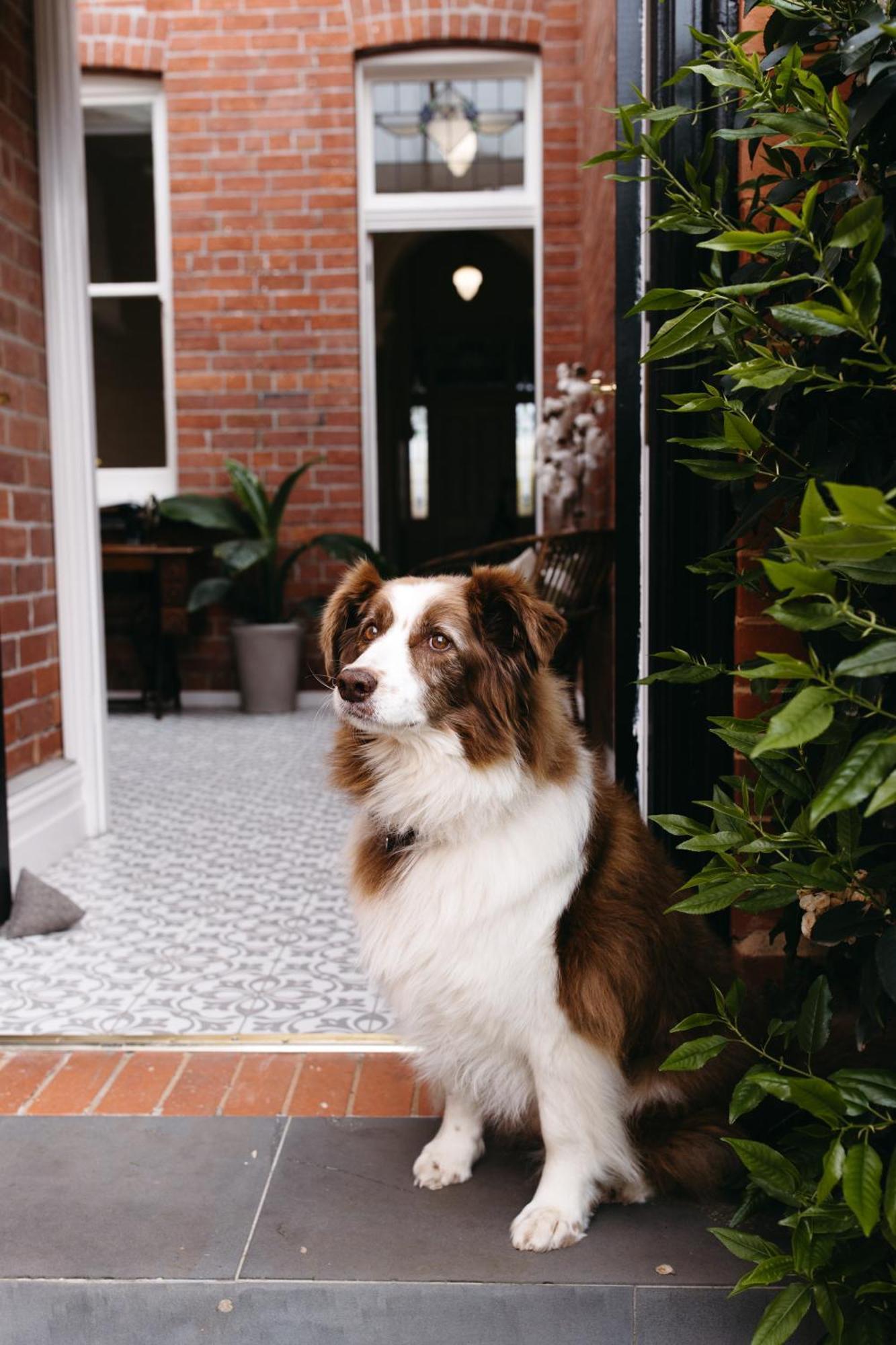 Luxurious Terrace In Heart Of Town Holiday home Bendigo